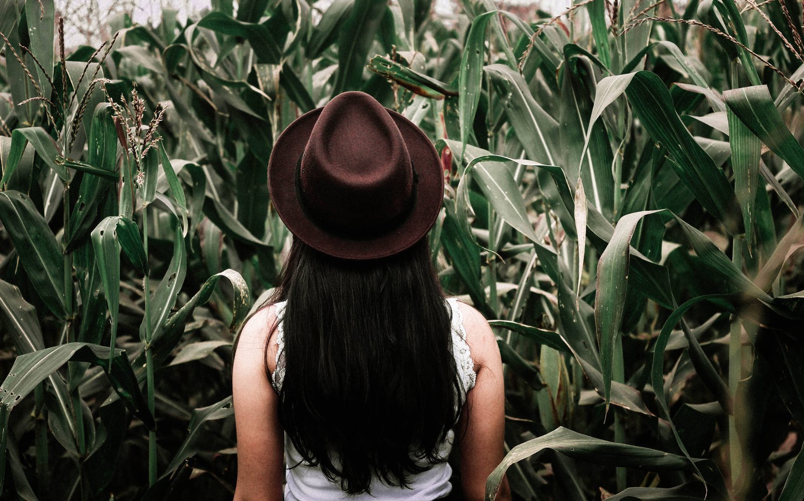 Year Ender 2023: Top Healthy Habits in Kids that Left Parents Worried